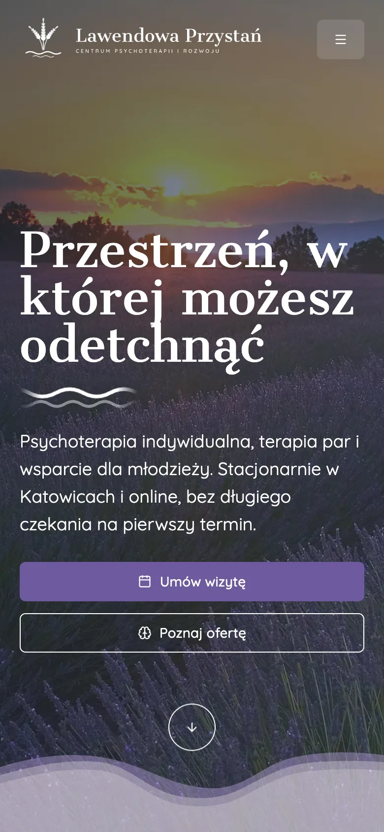 Ta sama strona na telefonie, z przyciskami „Umów wizytę” i „Poznaj ofertę”